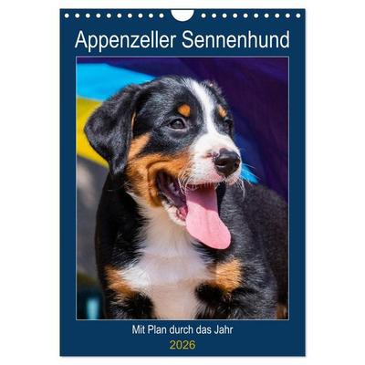 Appenzeller Sennenhund - Mit Plan durch das Jahr (Wandkalender 2026 DIN A4 hoch), CALVENDO Monatskalender