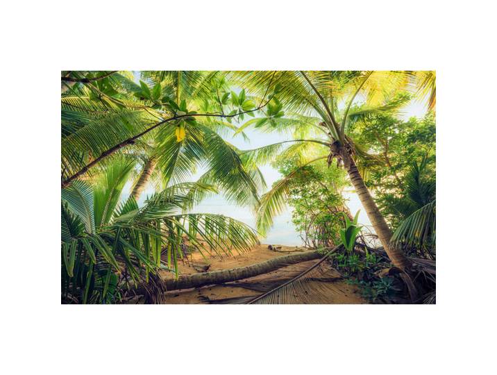 Fototapete, Grün, Graphik, 450x280 cm, Tapeten & Wandverkleidungen, Fototapeten