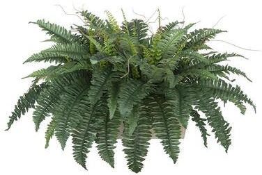 House of Silk Flowers Faux Fern in Washed Wood Ledge Planter