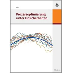 Prozessoptimierung unter Unsicherheiten, Fachbücher von Pu Li