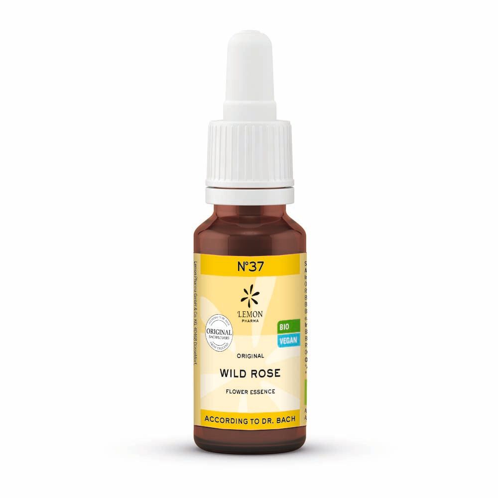 Bachblüten No.37 Wild Rose Bio 20 ml