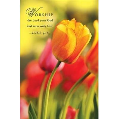 Tulips Spring Bulletin 2013, Regular (Package of 50)