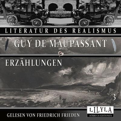 Erzählungen 3 - Guy de Maupassant, Audio, 9783988524263