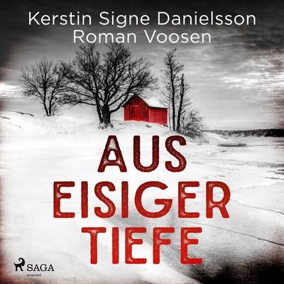 Aus eisiger Tiefe - Kerstin Signe Danielsson,Roman Voosen, Audio, 4066338241108