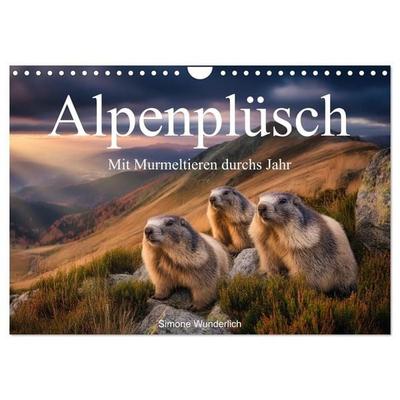 Alpenplüsch - Mit Murmeltieren durchs Jahr (Wandkalender 2027 DIN A4 quer), CALVENDO Monatskalender