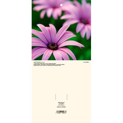 Bildrückwände für Typ 301 und 302 Blumen soriert 2027