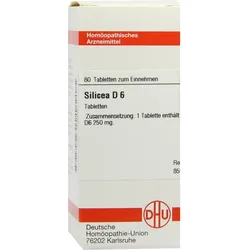 Silicea D 6 80 ST