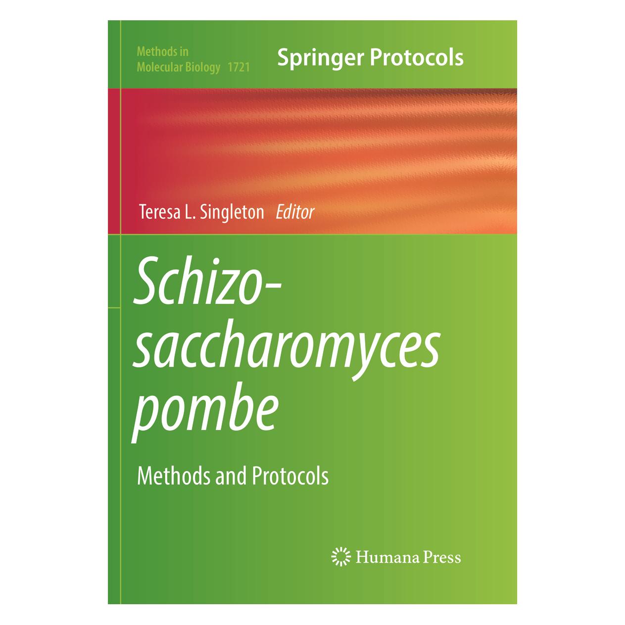 Springer Schizosaccharomyces pombe (Englisch, Softcover, Singleton, Teresa, Teresa L. Singleton) (56047153)