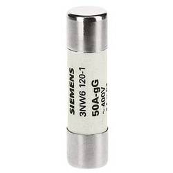 Siemens 3NW61071 Zylindersicherungseinsatz 20 A 690 V 10 St.