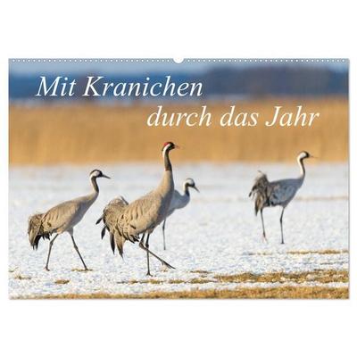 Mit Kranichen durch das Jahr (Wandkalender 2026 DIN A2 quer), CALVENDO Monatskalender