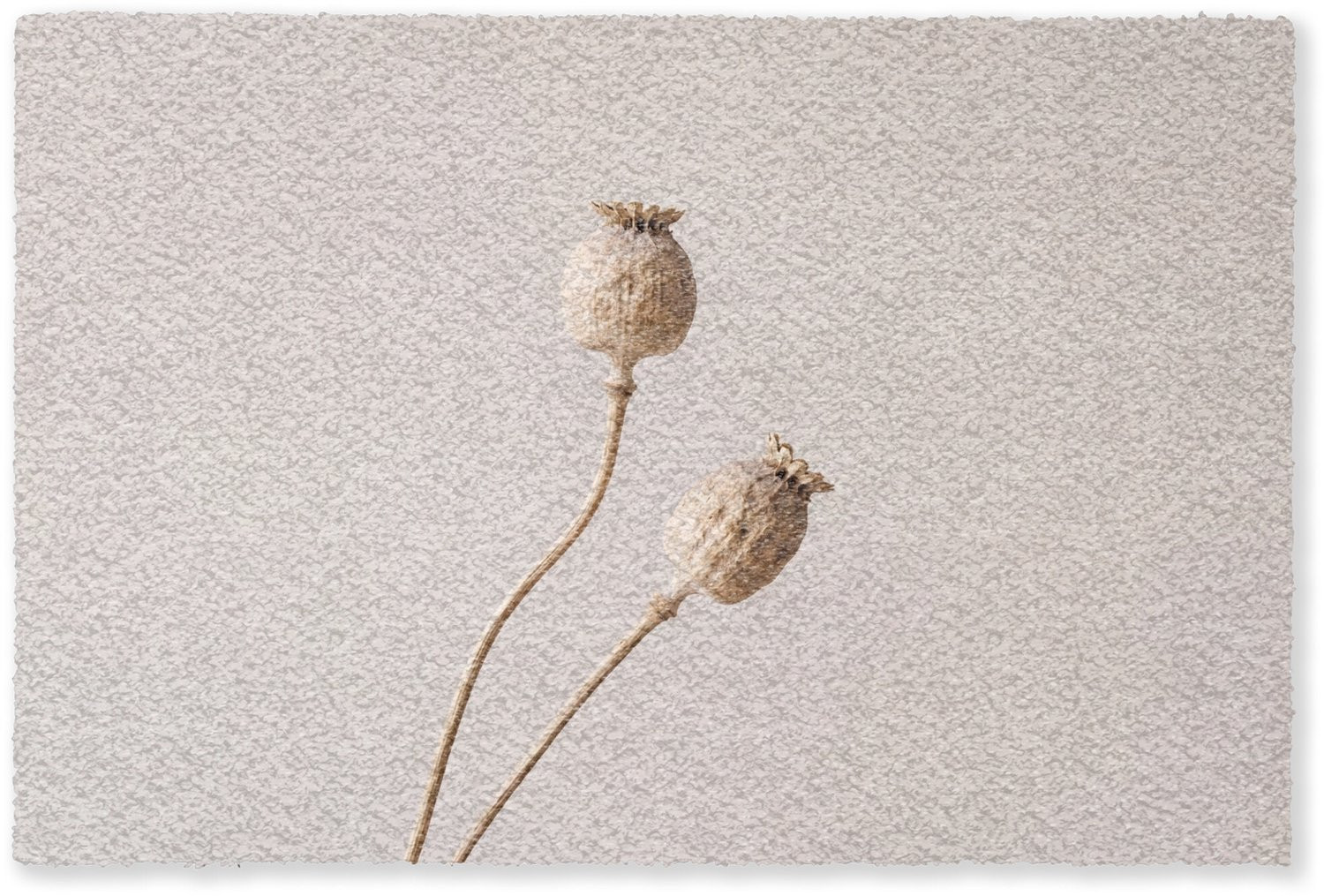MuchoWow Deurmat Papaverbollen - Beige - 60 x 40 cm