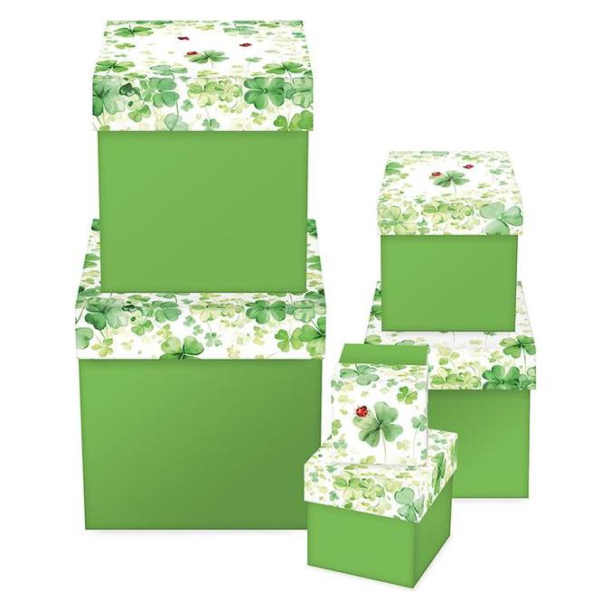 Braun + Company Geschenkpapier 2mx70cm (1381-25015)