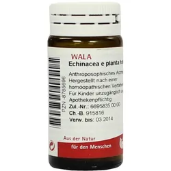 Echinacea E Planta tota D 3 Globuli 20 g