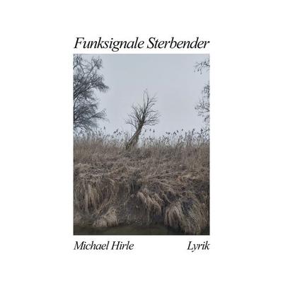 Funksignale Sterbender, Taschenbuch von Michael Hirle, BoD – Books on Demand, 978-3-695-73103-9