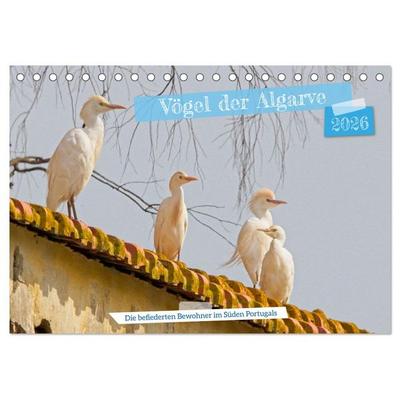 Vögel der Algarve (Tischkalender 2026 DIN A5 quer), CALVENDO Monatskalender