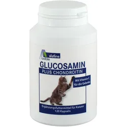 Glucosamin+chondroitin Kapseln für Katzen 120 ST