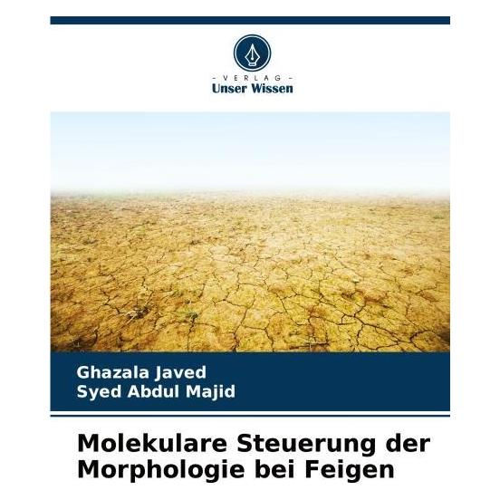 Bod Molekulare Steuerung der Morphologie bei Feigen (57189158)