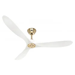 Casafan DC Deckenventilator Eco Genuino MG-MW 152 152