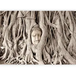 Fototapete Buddha ́s Tree Braun