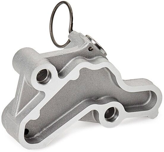 RIDEX 1389T0252 Timing chain kit