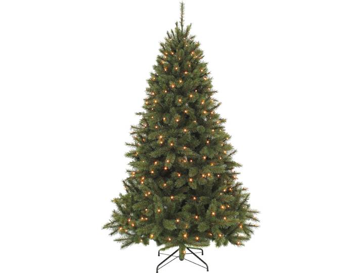 Triumph Tree Arbre de Noël artificiel Bristlecone Fir - 127x127x215 cm - PVC - Vert