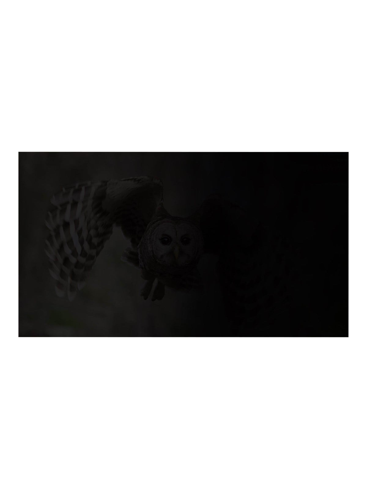 Natec OWL notebook privacy filter