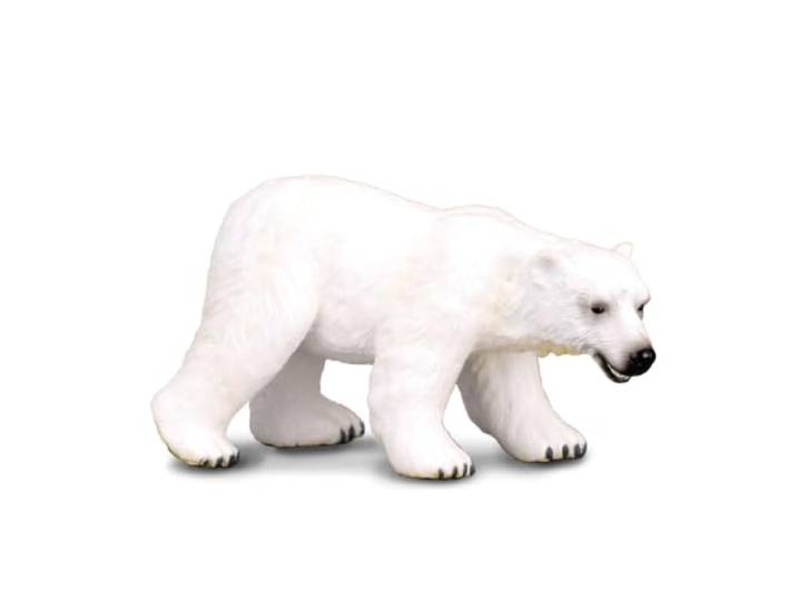 Collecta – 3388214 – figuur – wilde dieren – beer – wit