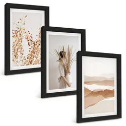 BILDER SET 3er Set - 20x30 cm Schwarzer Rahmen - Rustikale Boho-Blumenmotive
