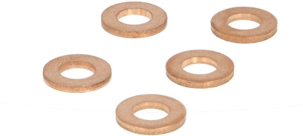 Dichtring, Injektor Common-Rail DELPHI 9001-850, 5 Stück