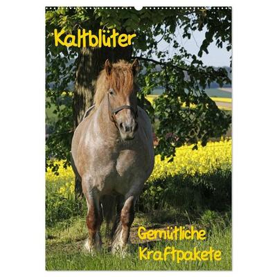 Kaltblüter (Wandkalender 2027 DIN A2 hoch), CALVENDO Monatskalender