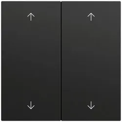 Gira Wippe Serien Schalter schwarz lackiert 538774 Pfeile