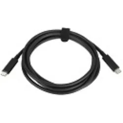 Lenovo USB-C to USB-C Cable 2m (2 m, USB 2.0, 60 W), USB Kabel