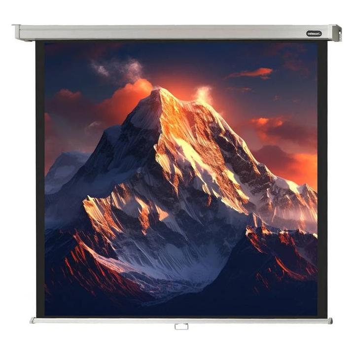 Celexon Professional manual - Leinwand - Deckenmontage möglich, geeignet für Wandmontage (64.17", 1:1, 16:9) (1090041)