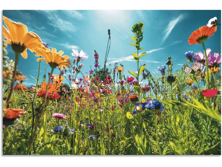 Wandbild ARTLAND Buntes Blumenfeld , bunt (farbe bild(er): bunt), B:30cm H:20cm, Bilder, Wandbild, als Alubild, Leinwandbild, Poster in verschied. Grössen