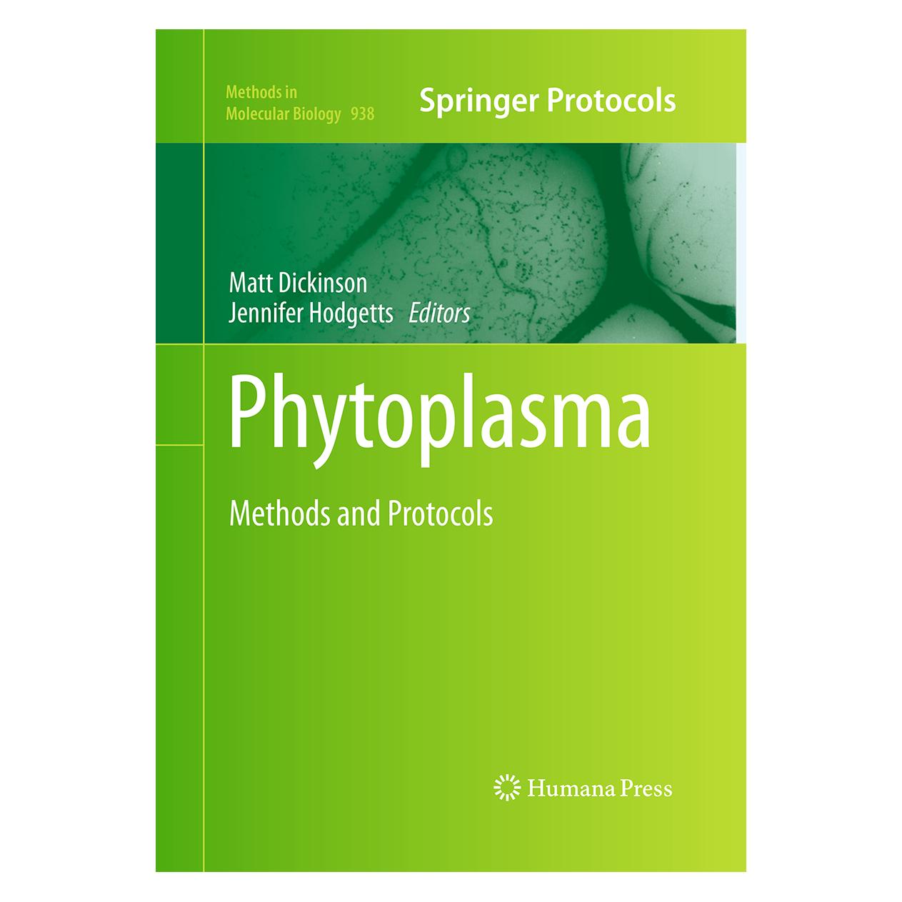 Springer Phytoplasma (Englisch, Softcover, Jennifer Hodgetts, Matt Dickinson) (55964828)