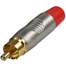 Rean AV RF2C-AU-2 Cinch-Steckverbinder Stecker 1 St.