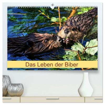 Das Leben der Biber (hochwertiger Premium Wandkalender 2027 DIN A2 quer), Kunstdruck in Hochglanz