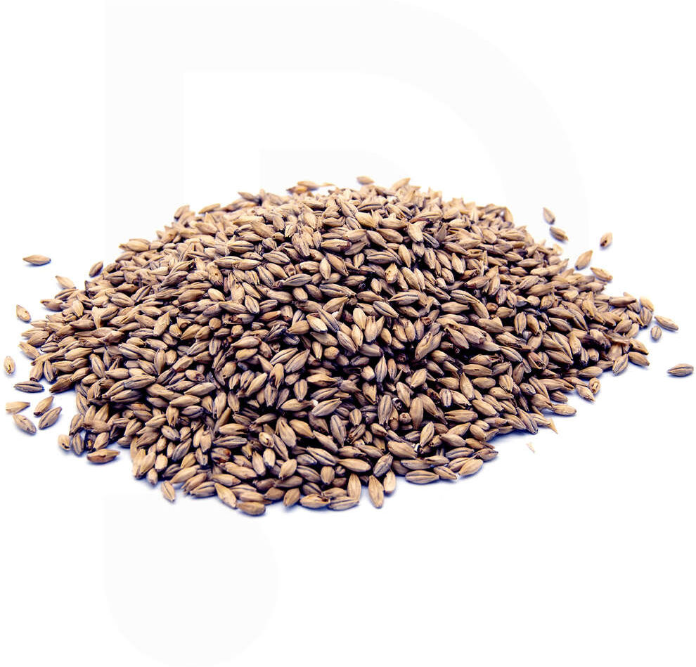 Castle Malting Malto in grani Château Cara Gold (1 kg)