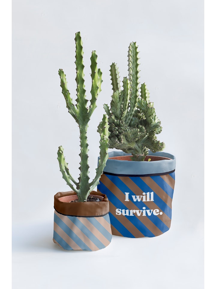 Really Nice Things 2er-Set: Übertöpfe "I Will Survive" in Beige/ Blau - (H)27 cm - onesize
