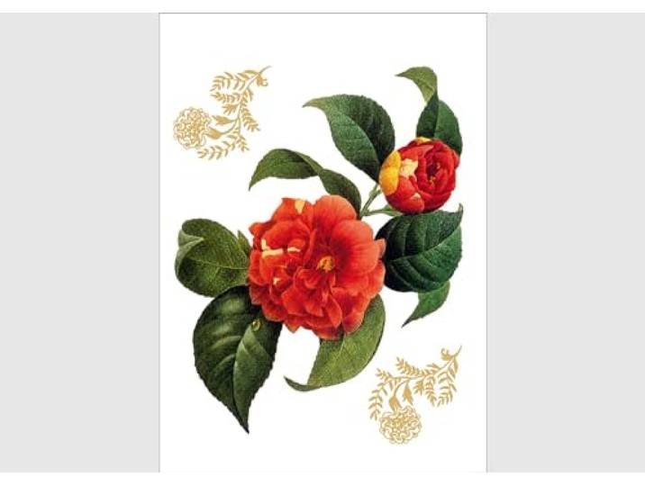 AG f 0457 autkleber Mural Design Autocollants en Forme de Fleurs