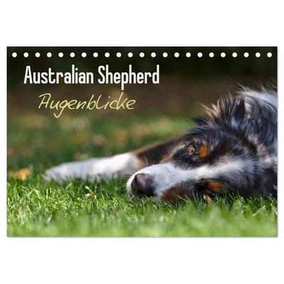 Australian Shepherd - Augenblicke (Tischkalender 2027 DIN A5 quer), CALVENDO Monatskalender