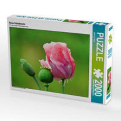 CALVENDO Puzzle Rosa Schlafmohn 2000 Teile Puzzle quer | 2000 Teile Lege-Größe 90 × 67 cm Foto-Puzzle für glückliche Stunden