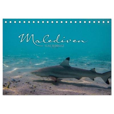 Unterwasserwelt der Malediven I (Tischkalender 2026 DIN A5 quer), CALVENDO Monatskalender