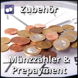 NZR E-Schlüsselschalter 3040 zur Freigabe ohne Münzeinwurf