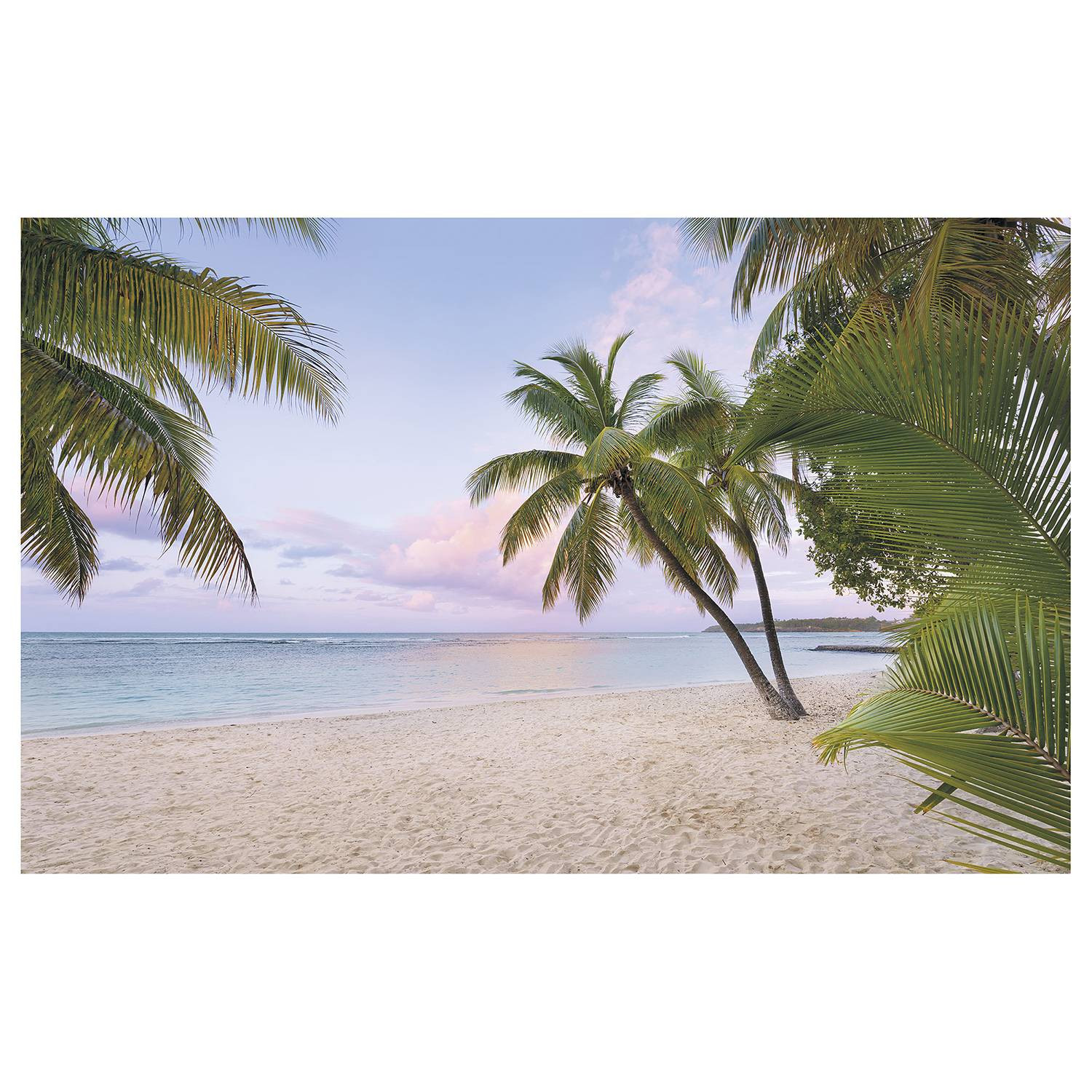 home24 Fotobehang Paradise Morning Breedte: 400 cm, Hoogte: 250 cm