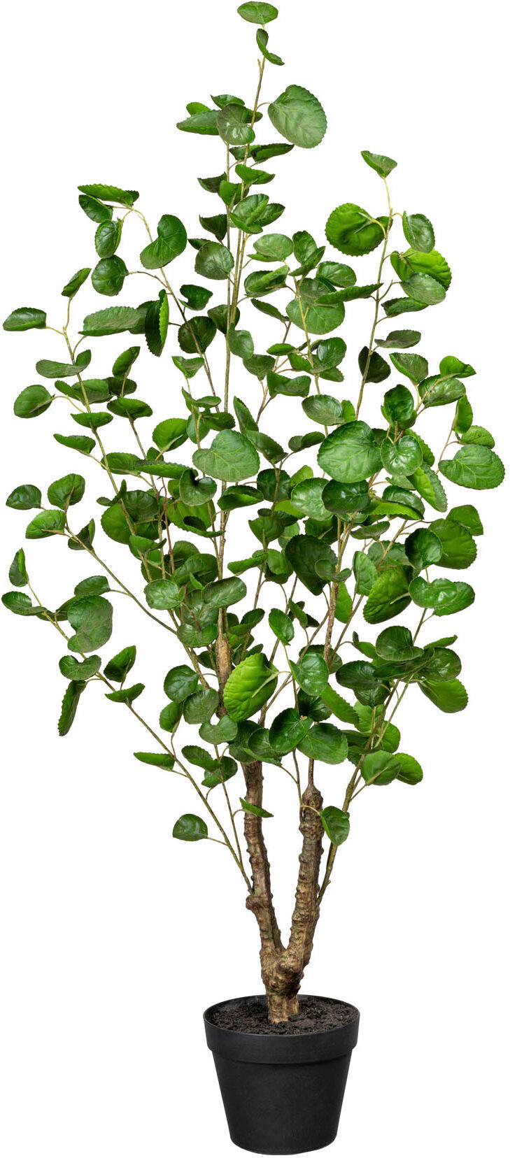 Künstliche Zimmerpflanze CREATIV GREEN "Fiederaralie", grün, H:110cm, Kunststoff, Kunstpflanzen, Künstliche Zimmerpflanze