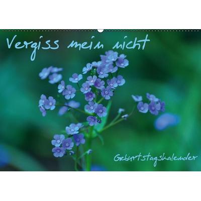 Vergiss mein nicht Geburtstagskalender (Wandkalender immerwährend DIN A2 quer)
