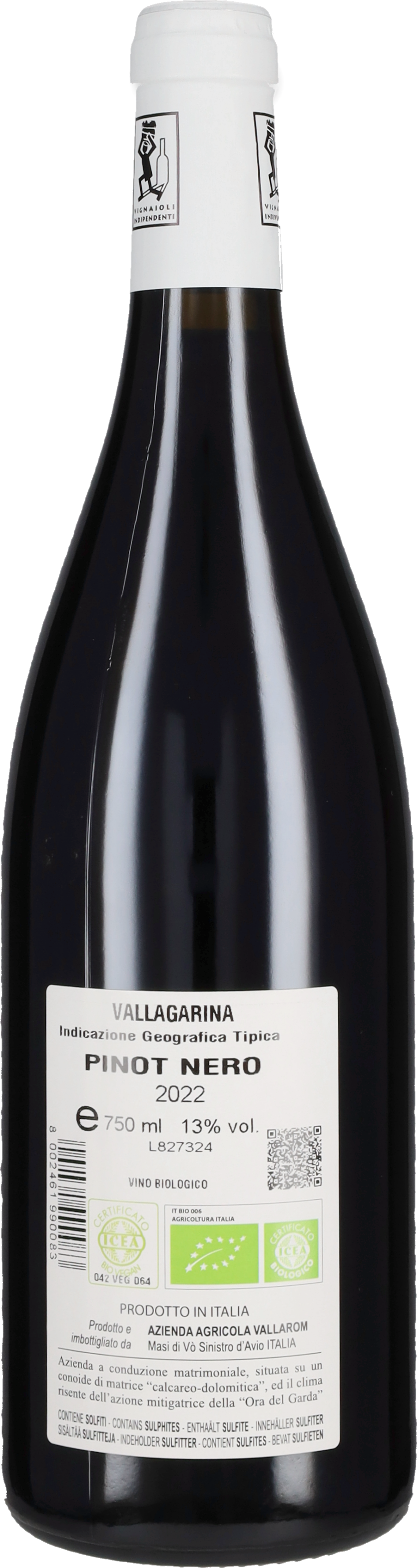 Pinot Nero Vallarom 2024