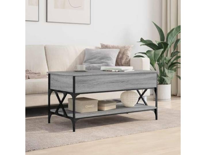 KTHLBRH Couchtisch Sonoma Grau 100 x 50 x 50 cm mehrschichtiges Metall Hebefläche, verstecktes Fach, 4 verstellbare Füße, robuste Konstruktion