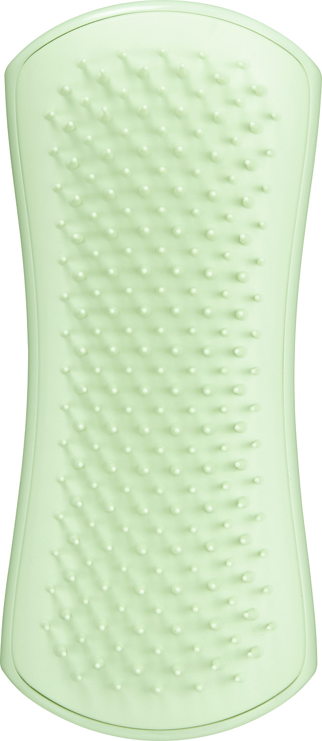 Tangle Teezer Pet Puppy Brush Mint TT-10605-001-1